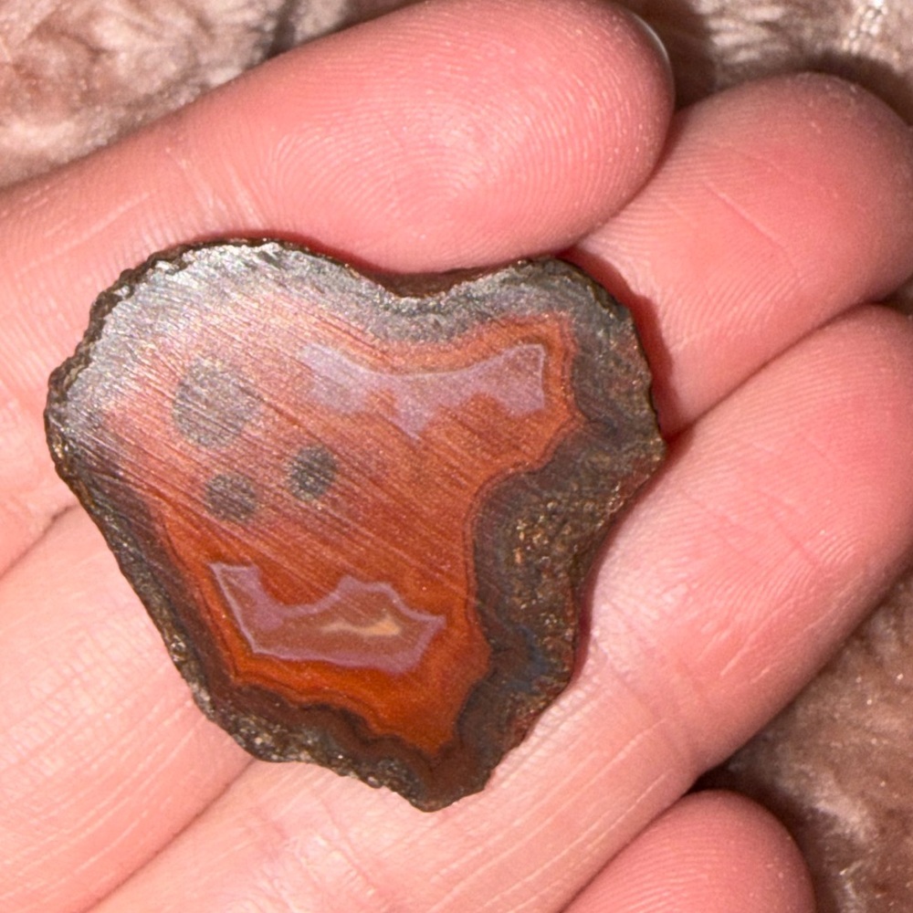 AGATE - Picture 11 of 11